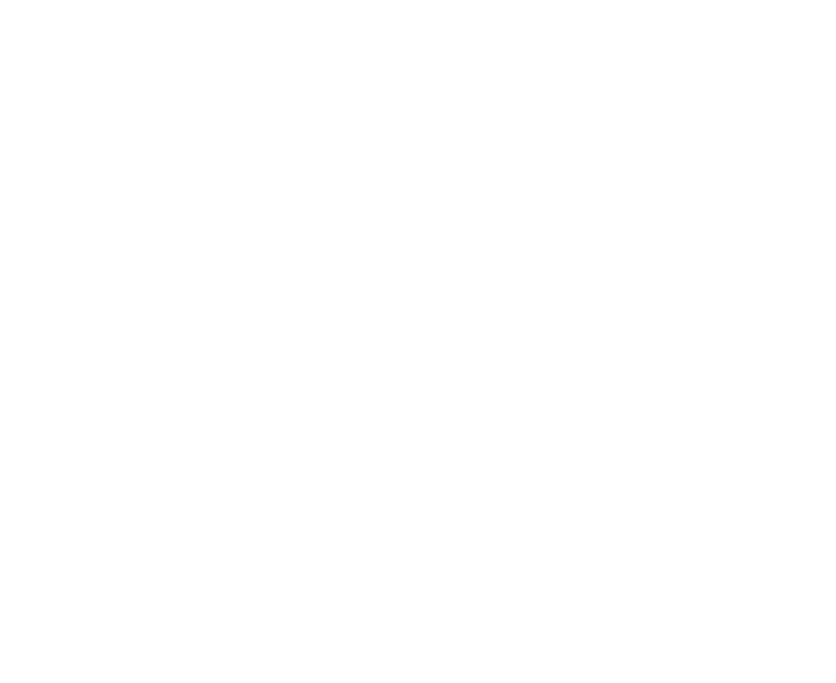 Visionwriters Logo