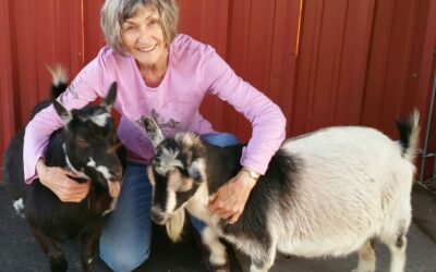A Lesson from God Through a Goat: Calita Niland