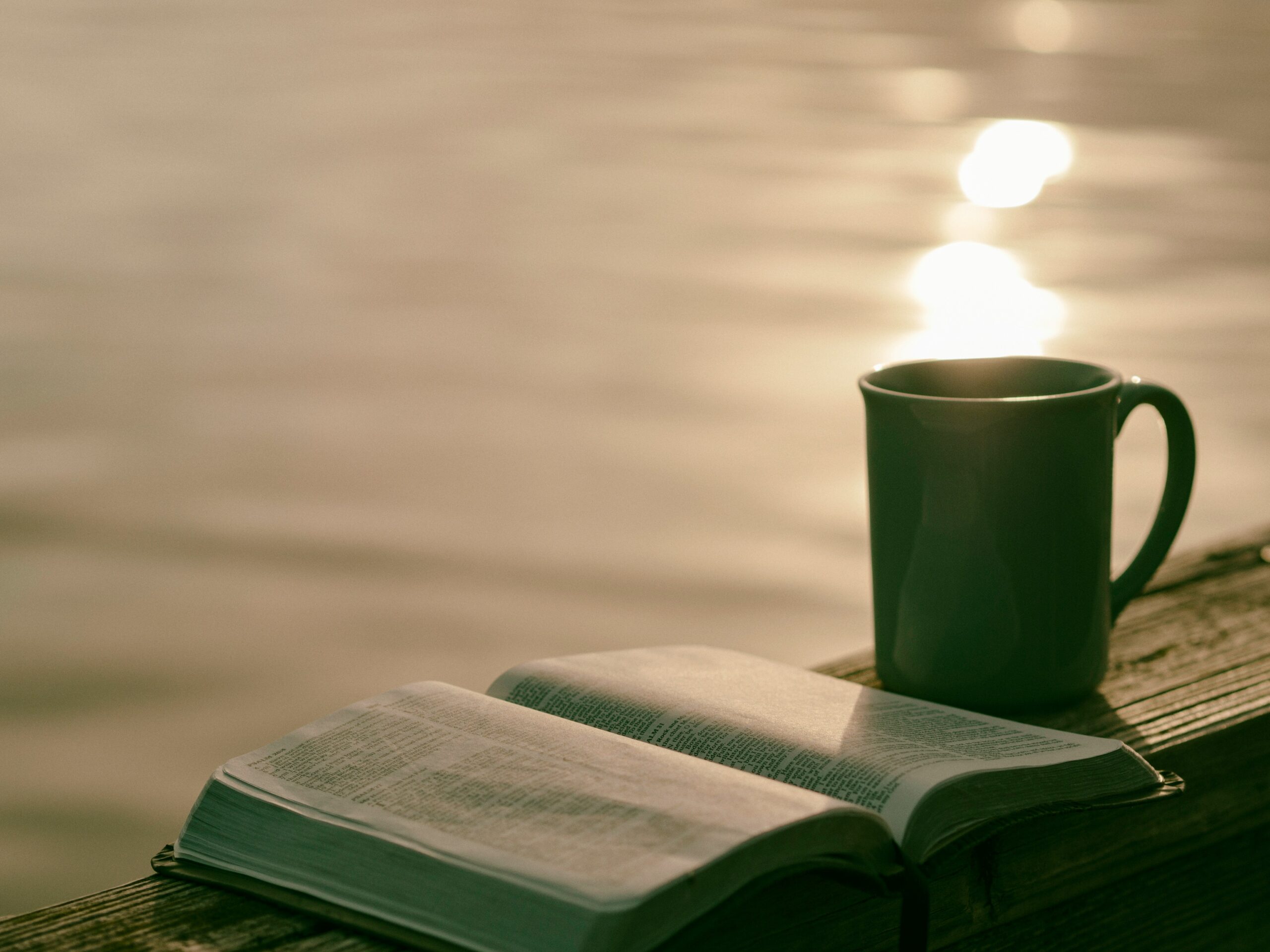 aaron-burden-4eWwSxaDhe4-unsplash (1)