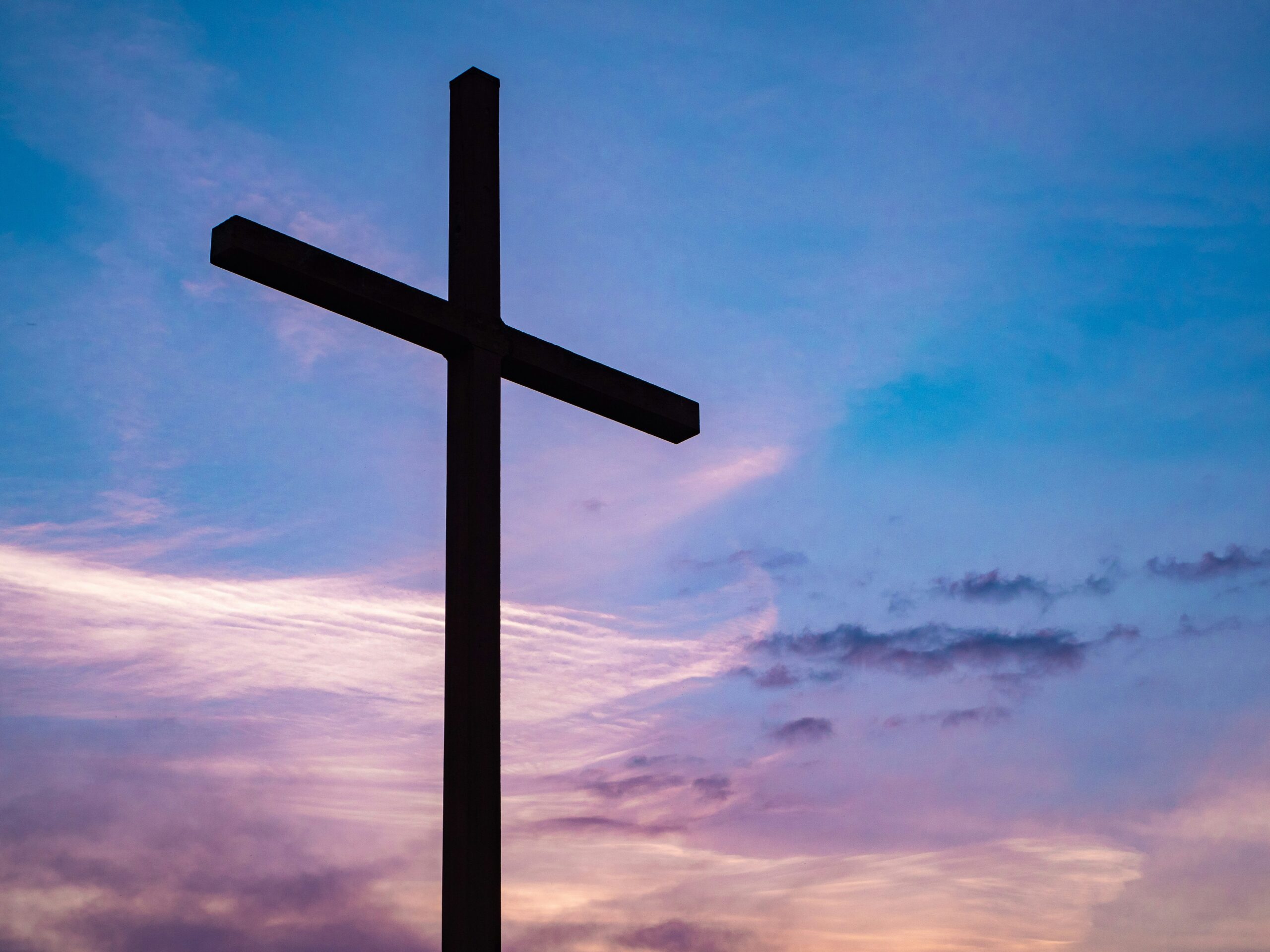 aaron-burden-o–lefJNe0w-unsplash